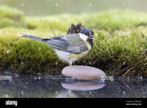 grosse natur titten|Natürlichen titten HD Videos